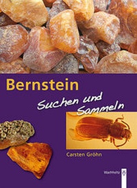 Enlarge image Cover: Bernstein - Wachholtz