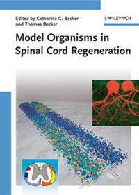 Abbildung von: Model Organisms in Spinal Cord Regeneration - Wiley-VCH