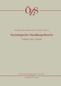 Cover: Soziologische Handlungstheorie - VS Verlag f&uuml;r Sozialwissenschaften
