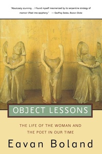 Enlarge image Cover: Object Lessons - WW Norton & Co
