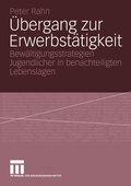 Cover: &Uuml;bergang zur Erwerbst&auml;tigkeit - VS Verlag f&uuml;r Sozialwissenschaften
