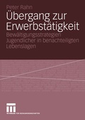 Cover: &Uuml;bergang zur Erwerbst&auml;tigkeit - VS Verlag f&uuml;r Sozialwissenschaften