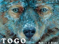 Cover: Togo - G P Putnam's Sons