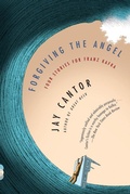 Cover: Forgiving the Angel - Vintage