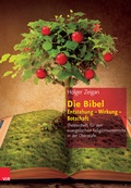 Cover: Die Bibel: Entstehung - Wirkung - Botschaft - Vandenhoeck & Ruprecht