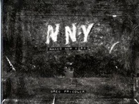Abbildung von: Naked New York - WW Norton & Co