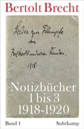 Cover: Notizb&uuml;cher - Suhrkamp