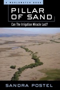 Cover: Pillar of Sand - WW Norton & Co