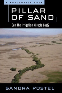 Enlarge image Cover: Pillar of Sand - WW Norton & Co