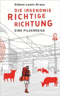 Abbildung von: Die irgendwie richtige Richtung - Suhrkamp