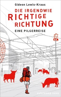 Abbildung von: Die irgendwie richtige Richtung - Suhrkamp