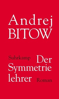 Enlarge image Cover: Der Symmetrielehrer - Suhrkamp
