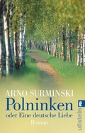 Cover: Polninken - Ullstein Taschenbuchverlag