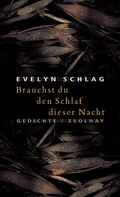 Cover: Brauchst du den Schlaf dieser Nacht - Zsolnay