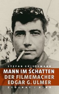 Enlarge image Cover: Mann im Schatten - Zsolnay