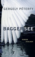 Cover: Baggersee - Zsolnay