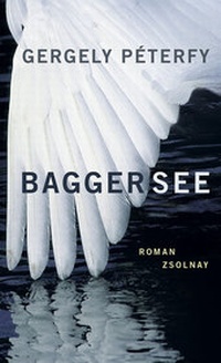 Enlarge image Cover: Baggersee - Zsolnay
