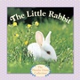 Cover: The Little Rabbit - Random House Books for Young Readers