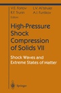 Cover: High-Pressure Shock Compression of Solids VII - Springer
