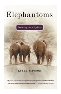 Cover: Elephantoms - WW Norton & Co