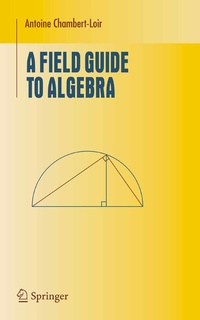 Enlarge image Cover: A Field Guide to Algebra - Springer