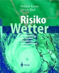 Cover: Risiko Wetter - Springer