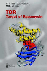 Enlarge image Cover: TOR - Springer