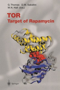 Enlarge image Cover: TOR - Springer