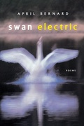 Cover: Swan Electric - WW Norton & Co