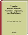 Cover: Vascular Reconstructions - Springer