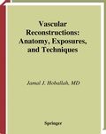 Cover: Vascular Reconstructions - Springer