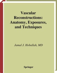 Enlarge image Cover: Vascular Reconstructions - Springer