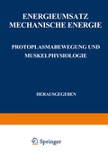 Cover: Energieumsatz - Springer