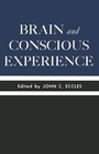 Cover: Brain and Conscious Experience - Springer