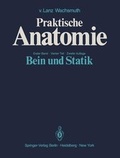 Cover: Bein und Statik - Springer