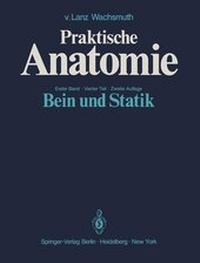 Enlarge image Cover: Bein und Statik - Springer
