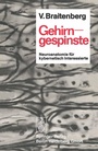 Cover: Gehirngespinste - Springer
