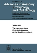 Cover: The Neurons of the First Optic Ganglion of the Bee (Apis mellifera) - Springer