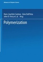Cover: Polymerization - Springer