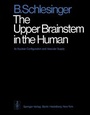 Cover: The Upper Brainstem in the Human - Springer