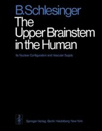 Enlarge image Cover: The Upper Brainstem in the Human - Springer