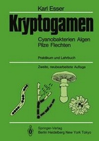 Enlarge image Cover: Kryptogamen - Springer