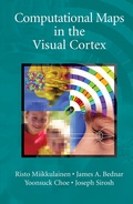 Cover: Computational Maps in the Visual Cortex - Springer