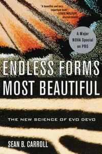 Enlarge image Cover: Endless Forms Most Beautiful - WW Norton & Co