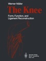 Cover: The Knee - Springer