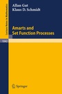 Cover: Amarts and Set Function Processes - Springer