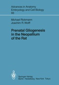 Cover: Prenatal Gliogenesis in the Neopallium of the Rat - Springer