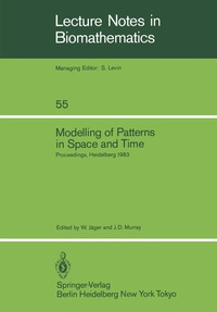 Enlarge image Cover: Modelling of Patterns in Space and Time - Springer