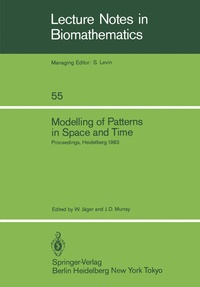 Abbildung von: Modelling of Patterns in Space and Time - Springer