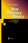 Cover: New Efficiency Theory - Springer